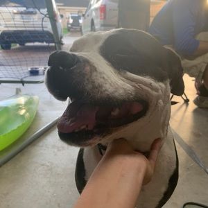 Meet your Posher, Kylie